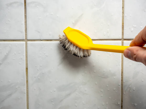 Best Local Mold Removal Service  in Arcadia, IN