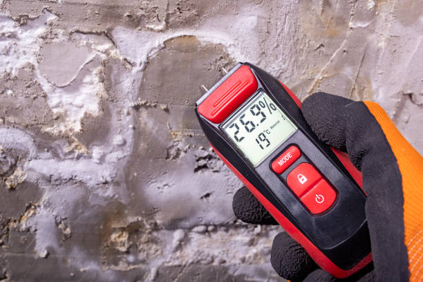 Best Professional Mold Removal  in Arcadia, IN