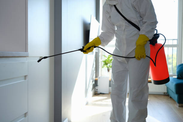 Best Black Mold Removal  in Arcadia, IN